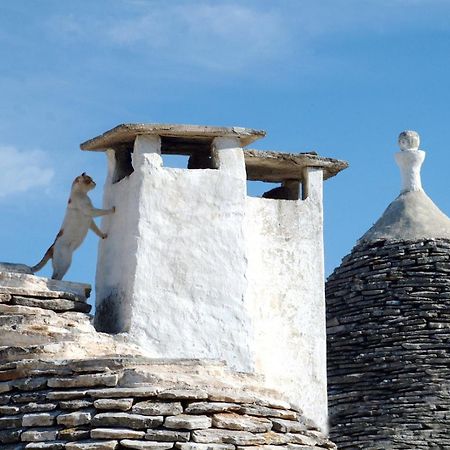 B&B Corso Trieste E Trento Alberobello Kültér fotó