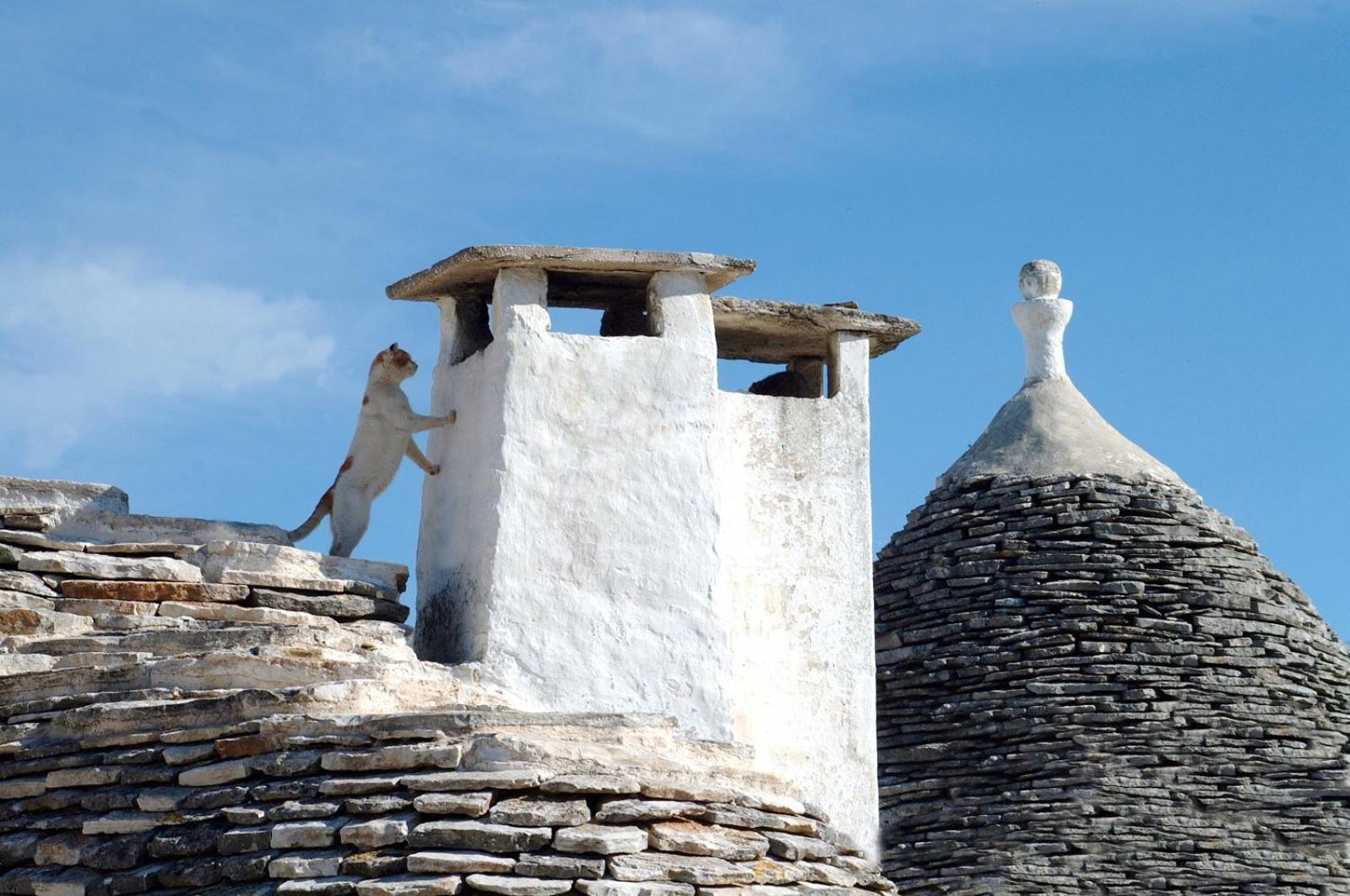 B&B Corso Trieste E Trento Alberobello Kültér fotó